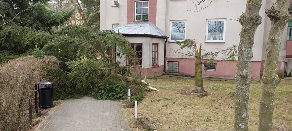 Wieje, niszczy i sieje strach. Kolejna noc z wichurą w regionie [19.02.2022] - zdjęcie #77 - eOstroleka.pl