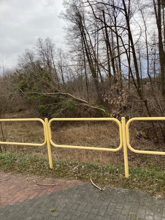 Wieje, niszczy i sieje strach. Kolejna noc z wichurą w regionie [19.02.2022] - zdjęcie #24 - eOstroleka.pl