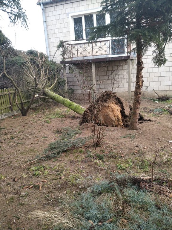 Wieje, niszczy i sieje strach. Kolejna noc z wichurą w regionie [19.02.2022] - zdjęcie #38 - eOstroleka.pl