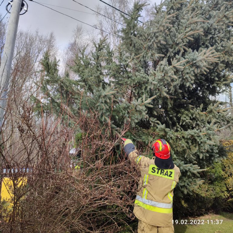 Wieje, niszczy i sieje strach. Kolejna noc z wichurą w regionie [19.02.2022] - zdjęcie #15 - eOstroleka.pl