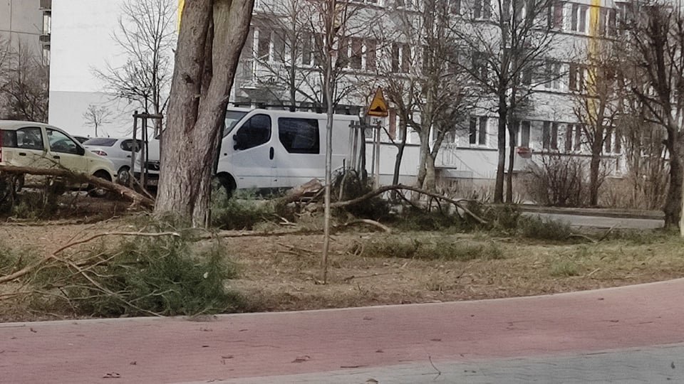 Wieje, niszczy i sieje strach. Kolejna noc z wichurą w regionie [19.02.2022] - zdjęcie #52 - eOstroleka.pl