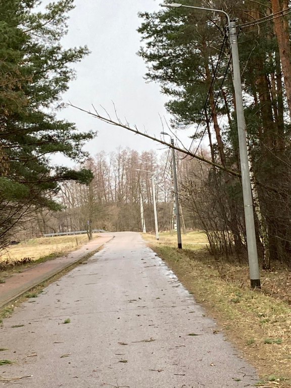 Wieje, niszczy i sieje strach. Kolejna noc z wichurą w regionie [19.02.2022] - zdjęcie #18 - eOstroleka.pl