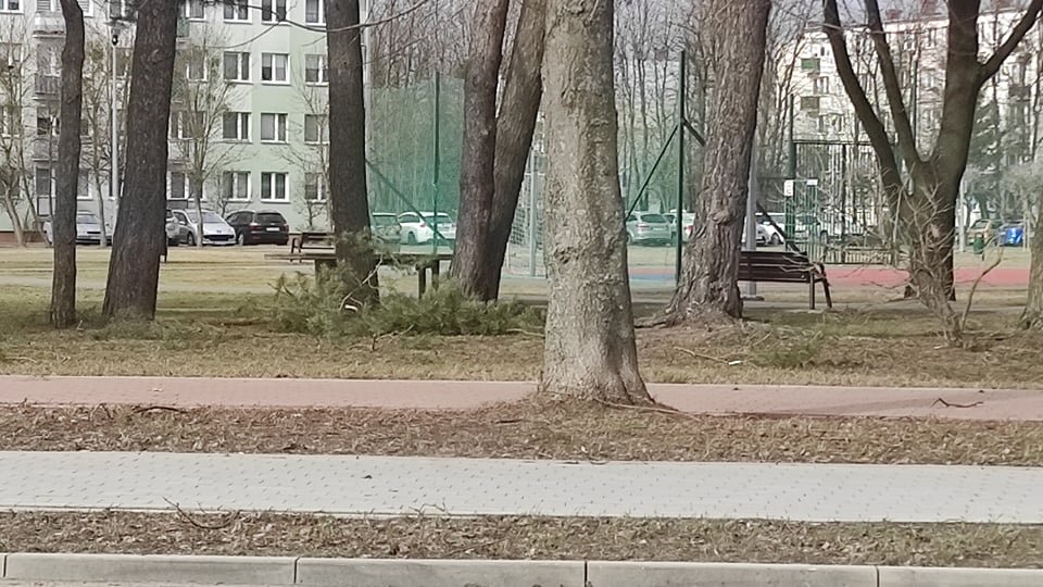 Wieje, niszczy i sieje strach. Kolejna noc z wichurą w regionie [19.02.2022] - zdjęcie #53 - eOstroleka.pl