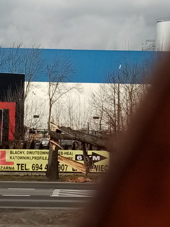 Wieje, niszczy i sieje strach. Kolejna noc z wichurą w regionie [19.02.2022] - zdjęcie #10 - eOstroleka.pl