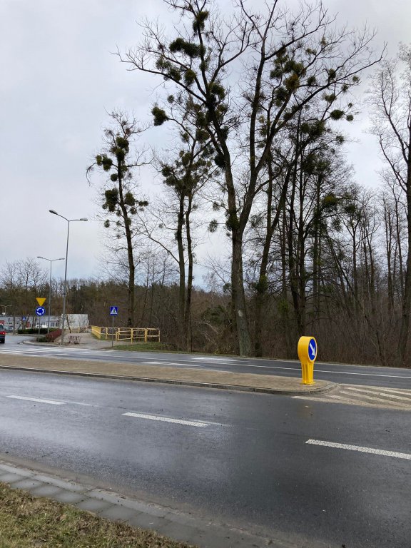 Wieje, niszczy i sieje strach. Kolejna noc z wichurą w regionie [19.02.2022] - zdjęcie #25 - eOstroleka.pl