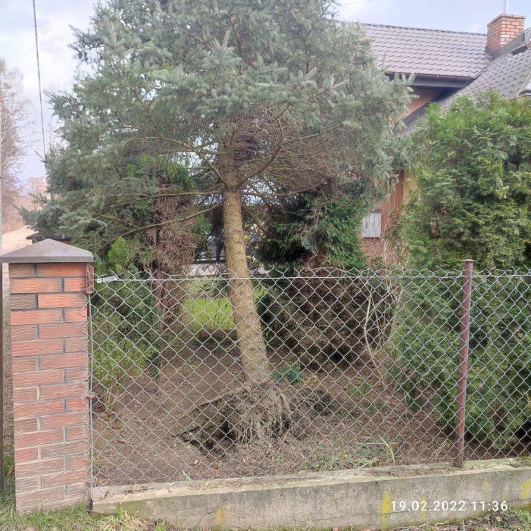 Wieje, niszczy i sieje strach. Kolejna noc z wichurą w regionie [19.02.2022] - zdjęcie #16 - eOstroleka.pl