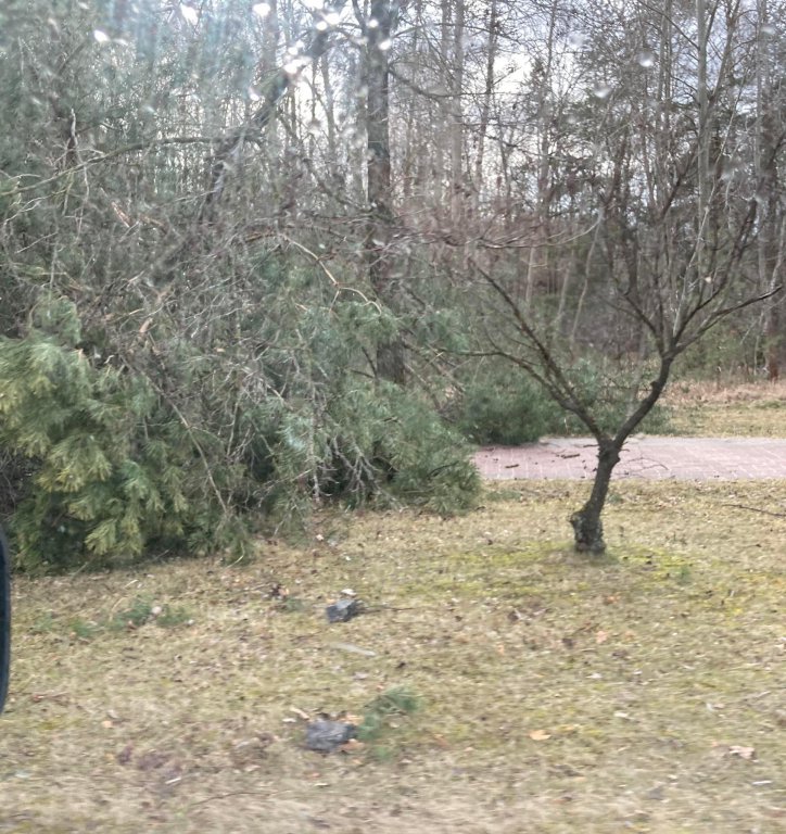 Wieje, niszczy i sieje strach. Kolejna noc z wichurą w regionie [19.02.2022] - zdjęcie #30 - eOstroleka.pl