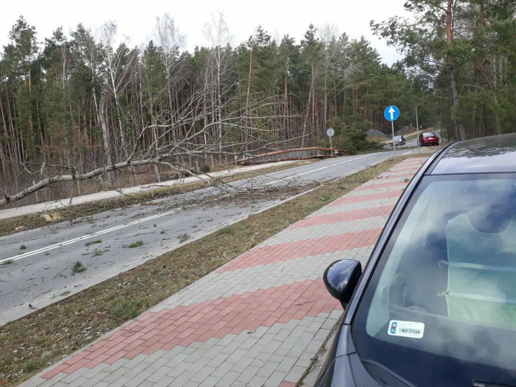 Wieje, niszczy i sieje strach. Kolejna noc z wichurą w regionie [19.02.2022] - zdjęcie #8 - eOstroleka.pl