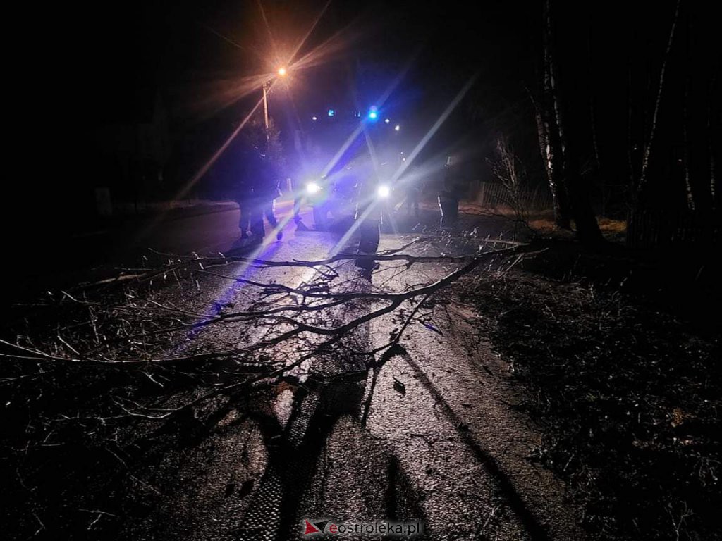 Wieje, niszczy i sieje strach. Kolejna noc z wichurą w regionie [19.02.2022] - zdjęcie #10 - eOstroleka.pl