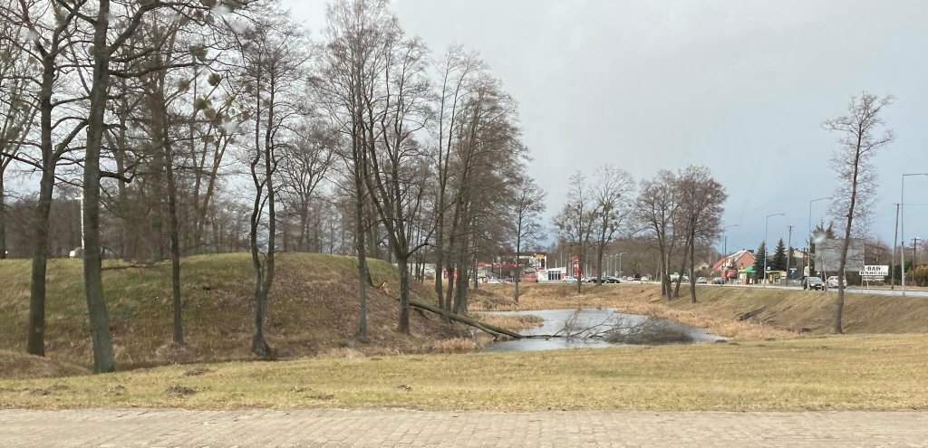 Wieje, niszczy i sieje strach. Kolejna noc z wichurą w regionie [19.02.2022] - zdjęcie #27 - eOstroleka.pl