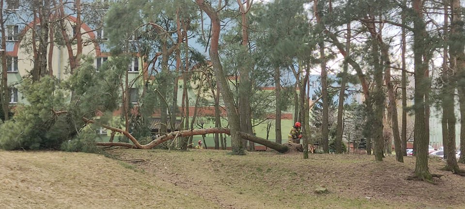 Wieje, niszczy i sieje strach. Kolejna noc z wichurą w regionie [19.02.2022] - zdjęcie #78 - eOstroleka.pl