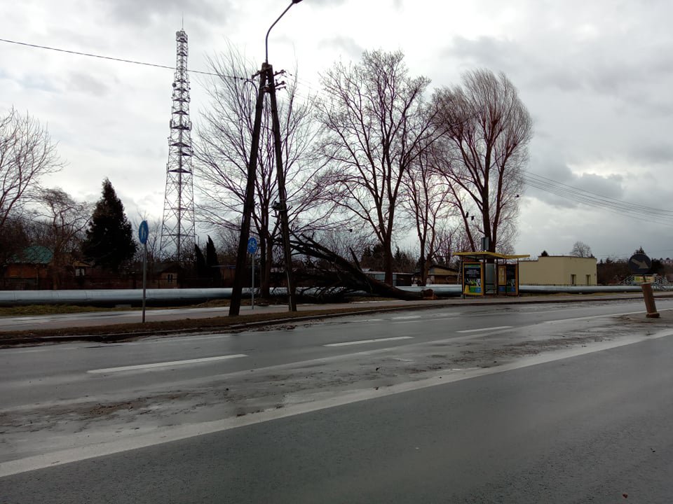 Wieje, niszczy i sieje strach. Kolejna noc z wichurą w regionie [19.02.2022] - zdjęcie #13 - eOstroleka.pl