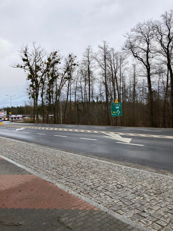 Wieje, niszczy i sieje strach. Kolejna noc z wichurą w regionie [19.02.2022] - zdjęcie #26 - eOstroleka.pl