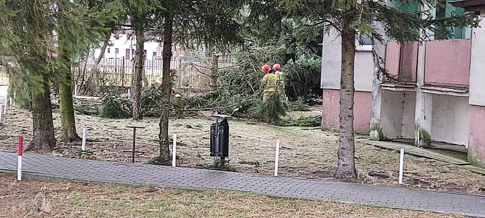 Wieje, niszczy i sieje strach. Kolejna noc z wichurą w regionie [19.02.2022] - zdjęcie #83 - eOstroleka.pl