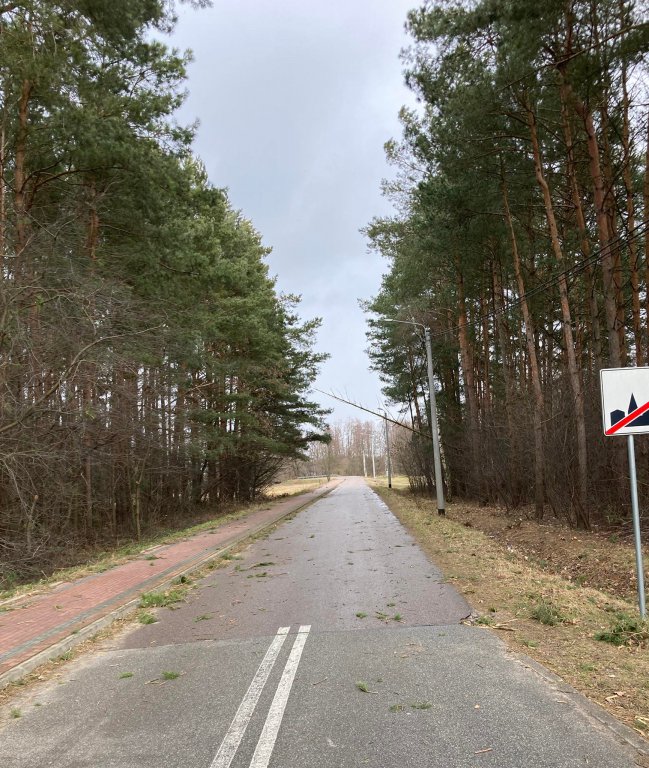 Wieje, niszczy i sieje strach. Kolejna noc z wichurą w regionie [19.02.2022] - zdjęcie #20 - eOstroleka.pl