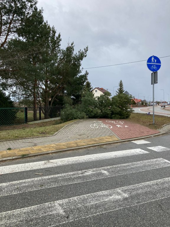 Wieje, niszczy i sieje strach. Kolejna noc z wichurą w regionie [19.02.2022] - zdjęcie #21 - eOstroleka.pl