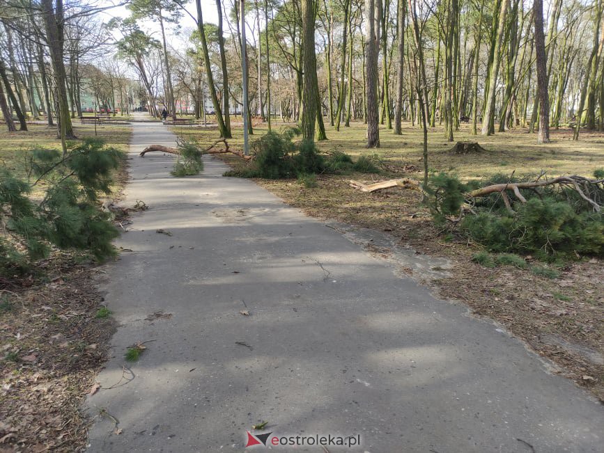 Wieje, niszczy i sieje strach. Kolejna noc z wichurą w regionie [19.02.2022] - zdjęcie #87 - eOstroleka.pl