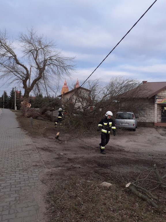 Wieje, niszczy i sieje strach. Kolejna noc z wichurą w regionie [19.02.2022] - zdjęcie #1 - eOstroleka.pl