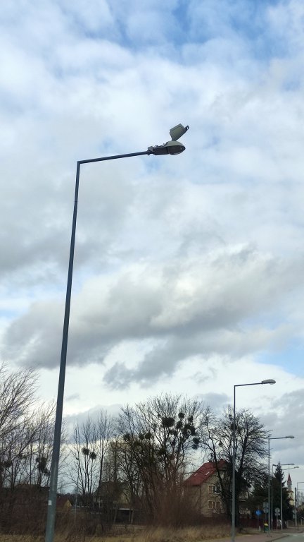 Wieje, niszczy i sieje strach. Kolejna noc z wichurą w regionie [19.02.2022] - zdjęcie #39 - eOstroleka.pl