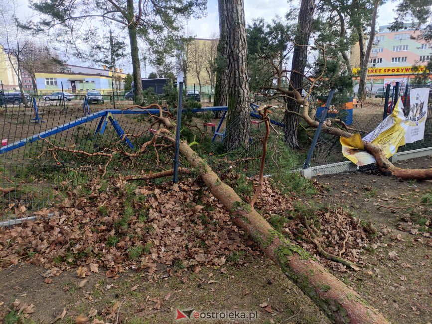 Zniszczony wybieg dla psów w miejskim parku [19.02.2022] - zdjęcie #12 - eOstroleka.pl