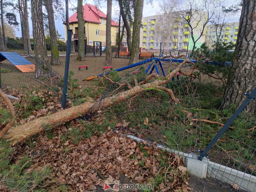 Zniszczony wybieg dla psów w miejskim parku [19.02.2022] - zdjęcie #3 - eOstroleka.pl