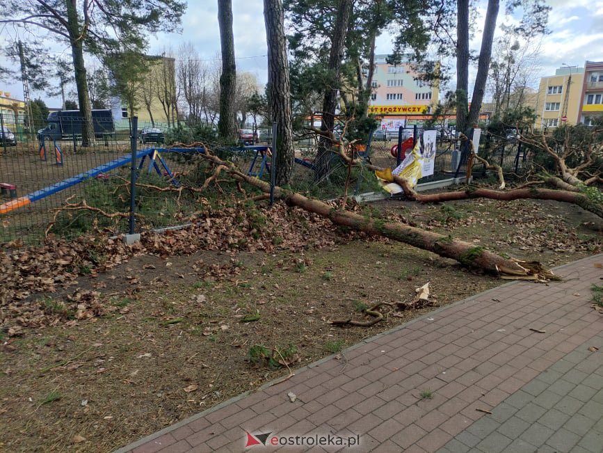 Zniszczony wybieg dla psów w miejskim parku [19.02.2022] - zdjęcie #7 - eOstroleka.pl