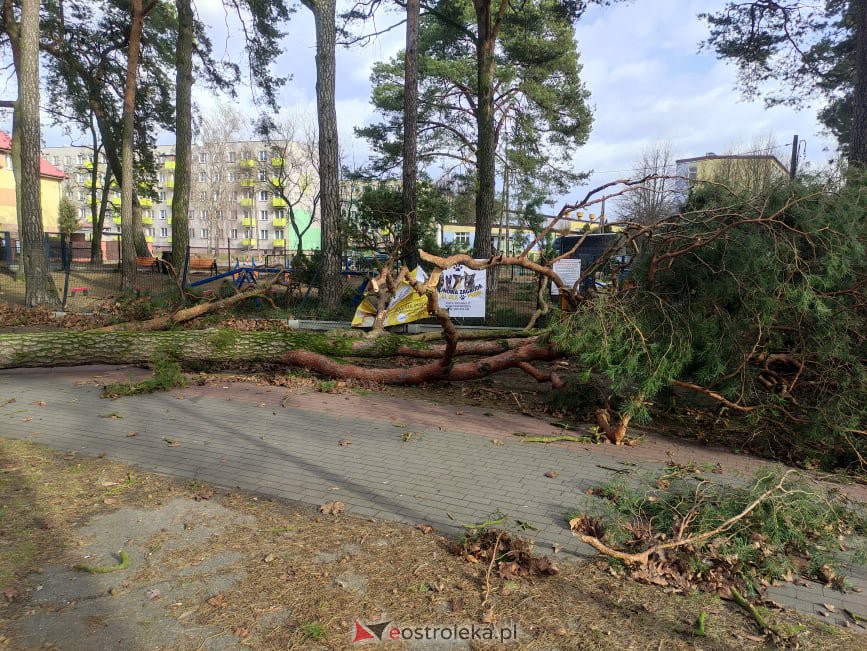 Zniszczony wybieg dla psów w miejskim parku [19.02.2022] - zdjęcie #10 - eOstroleka.pl