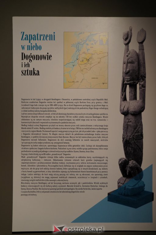 Spotkanie z cyklu „Afryka okiem podróżnika” - Monika Wisła [27.02.2022] - zdjęcie #50 - eOstroleka.pl