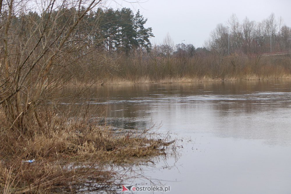 Wysoki poziom wody na Narwi w Ostrołęce [04.03.2022] - zdjęcie #33 - eOstroleka.pl