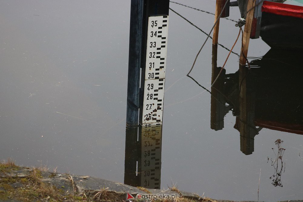 Wysoki poziom wody na Narwi w Ostrołęce [04.03.2022] - zdjęcie #26 - eOstroleka.pl