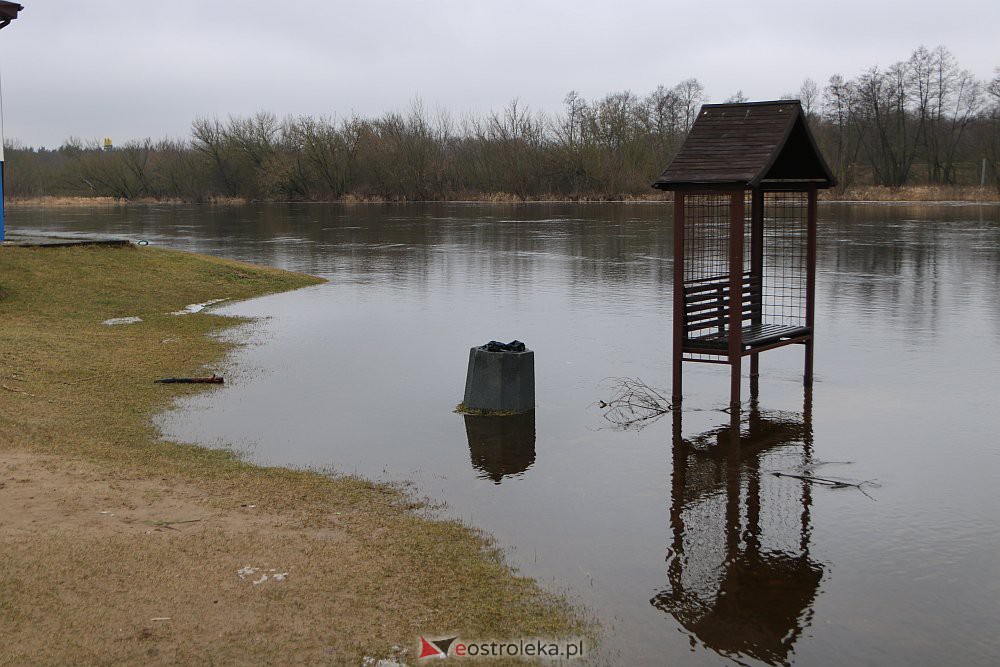 Wysoki poziom wody na Narwi w Ostrołęce [04.03.2022] - zdjęcie #21 - eOstroleka.pl
