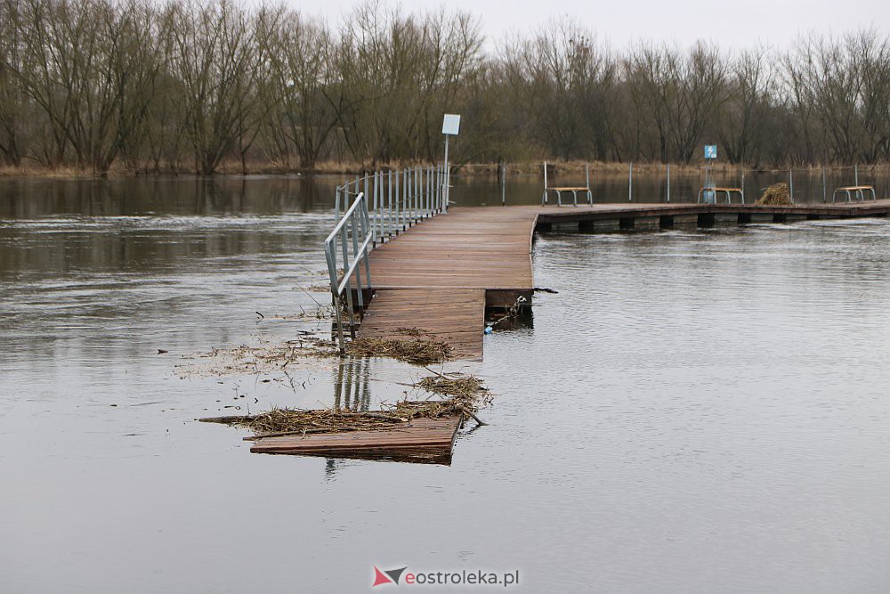 Wysoki poziom wody na Narwi w Ostrołęce [04.03.2022] - zdjęcie #23 - eOstroleka.pl