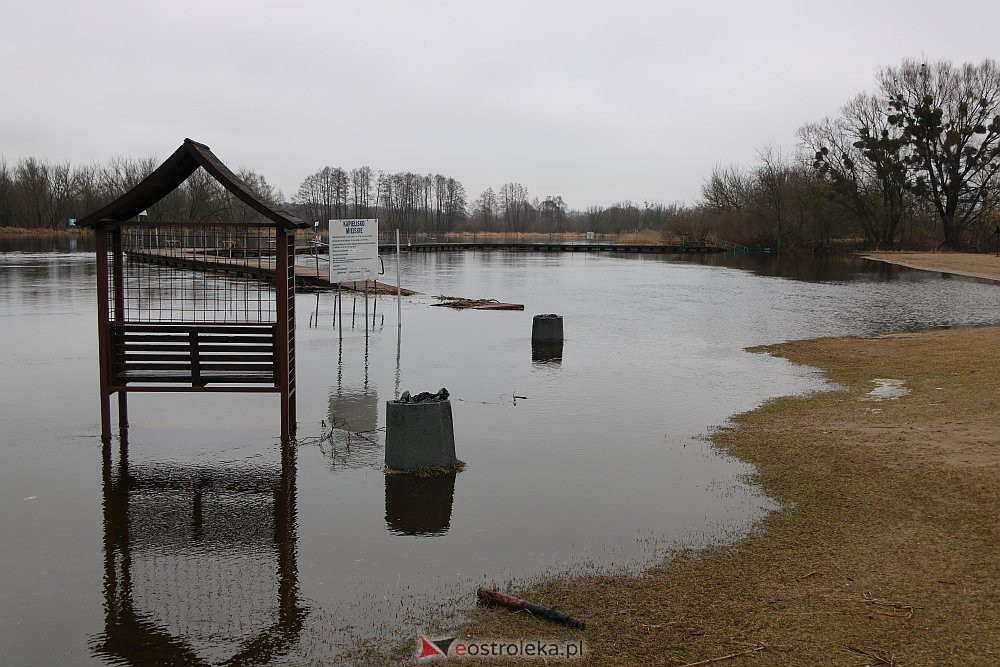 Wysoki poziom wody na Narwi w Ostrołęce [04.03.2022] - zdjęcie #14 - eOstroleka.pl