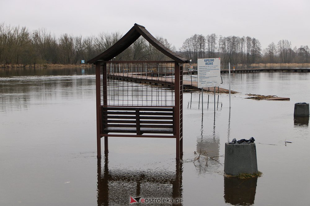 Wysoki poziom wody na Narwi w Ostrołęce [04.03.2022] - zdjęcie #13 - eOstroleka.pl