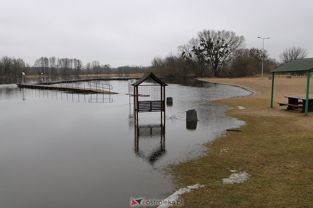 Wysoki poziom wody na Narwi w Ostrołęce [04.03.2022] - zdjęcie #11 - eOstroleka.pl