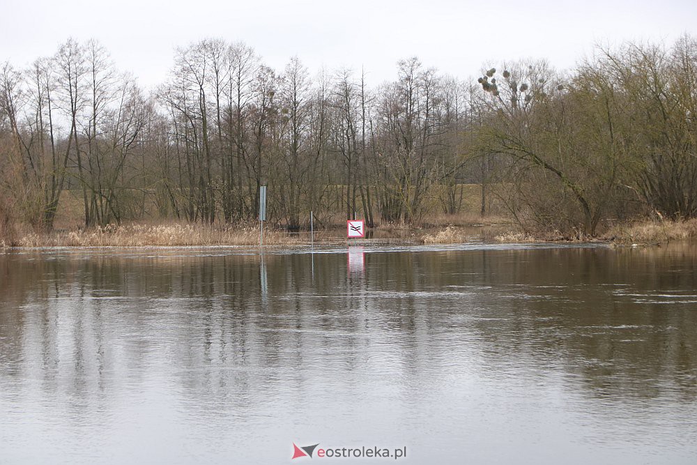 Wysoki poziom wody na Narwi w Ostrołęce [04.03.2022] - zdjęcie #33 - eOstroleka.pl