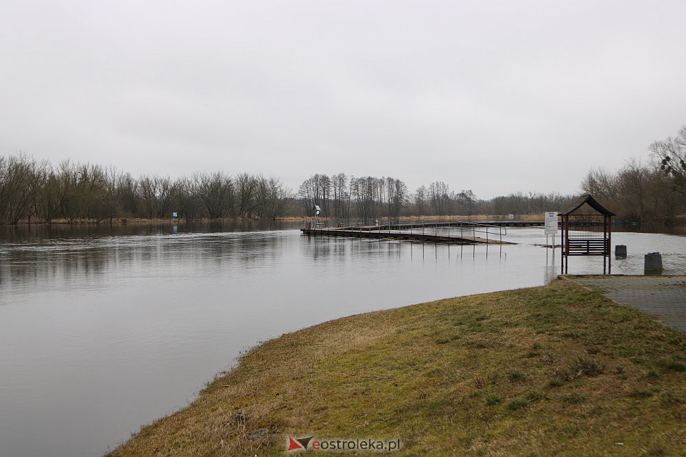 Wysoki poziom wody na Narwi w Ostrołęce [04.03.2022] - zdjęcie #8 - eOstroleka.pl