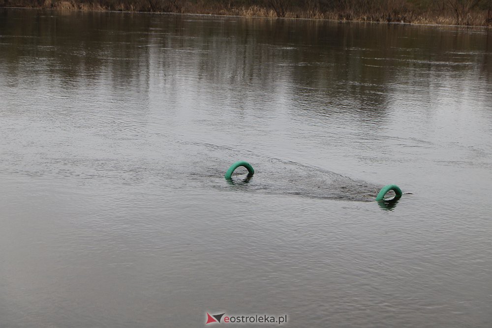 Wysoki poziom wody na Narwi w Ostrołęce [04.03.2022] - zdjęcie #7 - eOstroleka.pl
