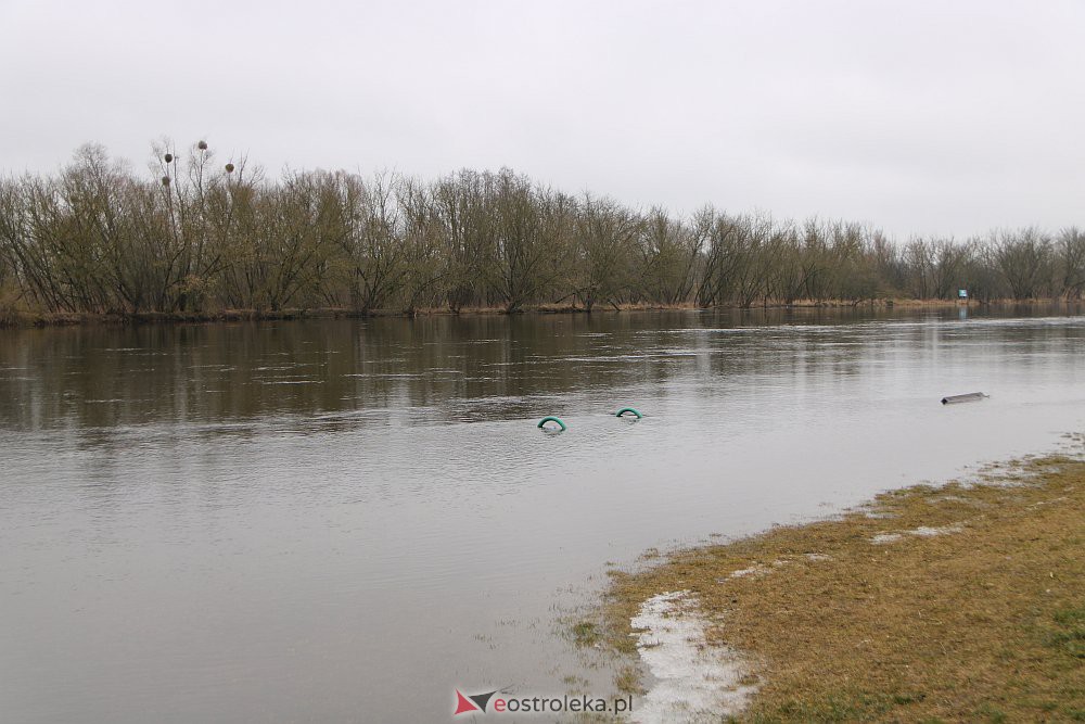 Wysoki poziom wody na Narwi w Ostrołęce [04.03.2022] - zdjęcie #38 - eOstroleka.pl