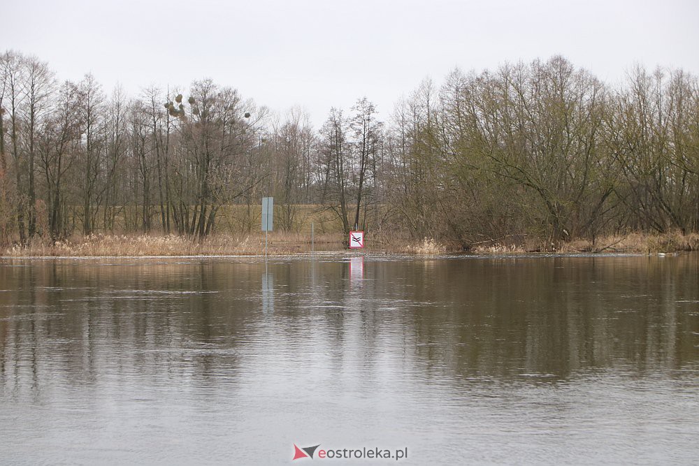 Wysoki poziom wody na Narwi w Ostrołęce [04.03.2022] - zdjęcie #2 - eOstroleka.pl