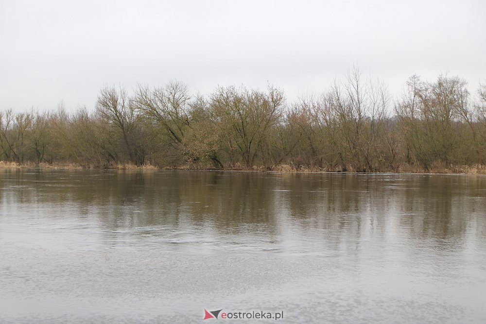 Wysoki poziom wody na Narwi w Ostrołęce [04.03.2022] - zdjęcie #1 - eOstroleka.pl