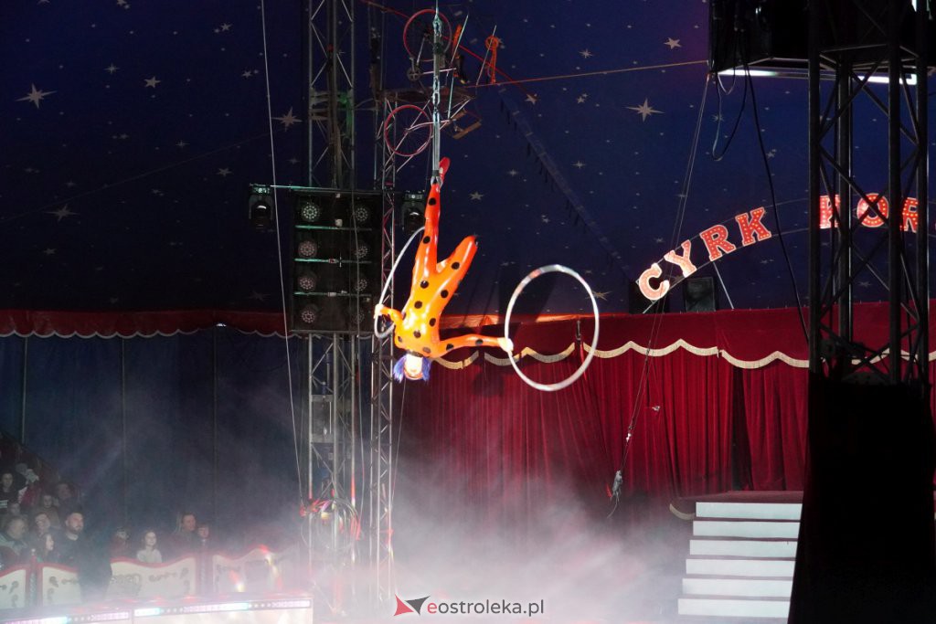 Cyrk Korona w Ostrołęce [17.03.2022] - zdjęcie #119 - eOstroleka.pl