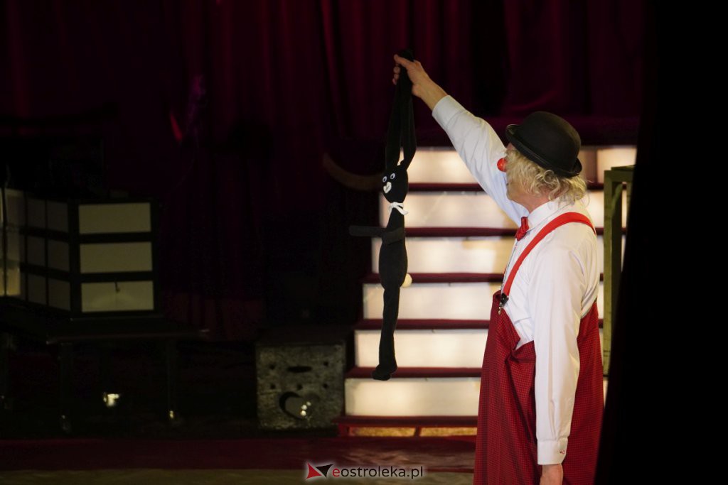 Cyrk Korona w Ostrołęce [17.03.2022] - zdjęcie #57 - eOstroleka.pl