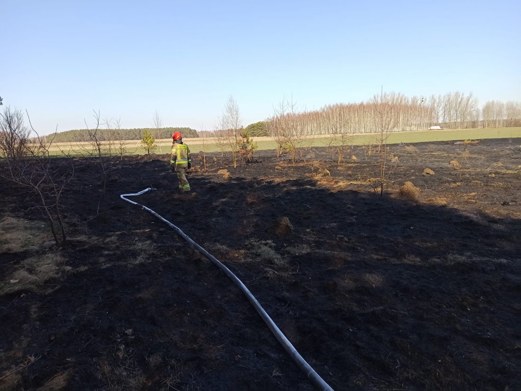 Z akcji na akcję. Tak dziś działali strażacy ochotnicy z Troszyna [18.03.2022] - zdjęcie #1 - eOstroleka.pl