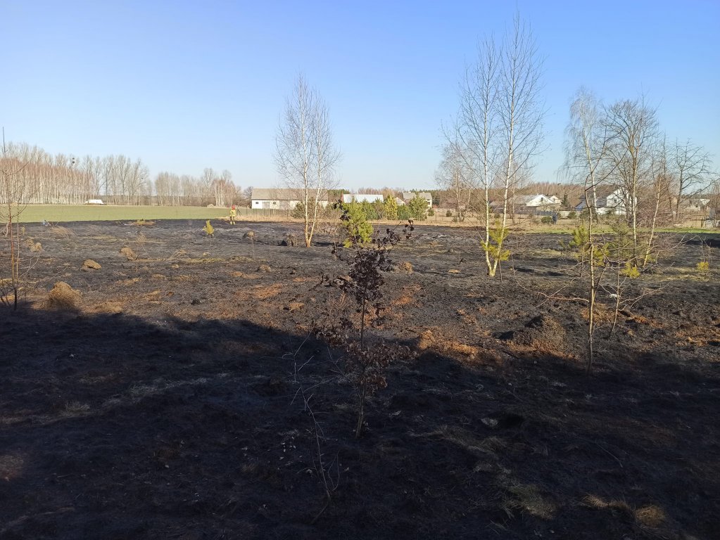 Z akcji na akcję. Tak dziś działali strażacy ochotnicy z Troszyna [18.03.2022] - zdjęcie #6 - eOstroleka.pl