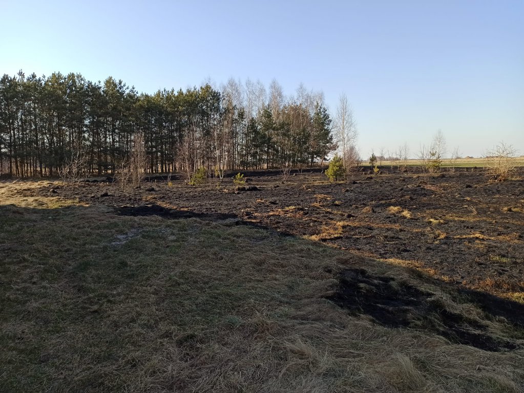 Z akcji na akcję. Tak dziś działali strażacy ochotnicy z Troszyna [18.03.2022] - zdjęcie #4 - eOstroleka.pl