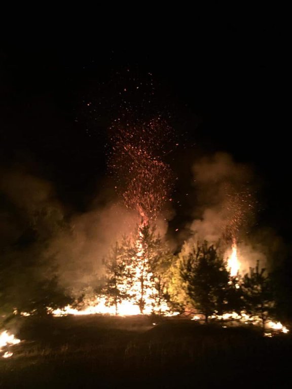 Pożary na nieużytkach w regionie. Jednej doby zgłoszono 8 zdarzeń [21.03.2022] - zdjęcie #1 - eOstroleka.pl