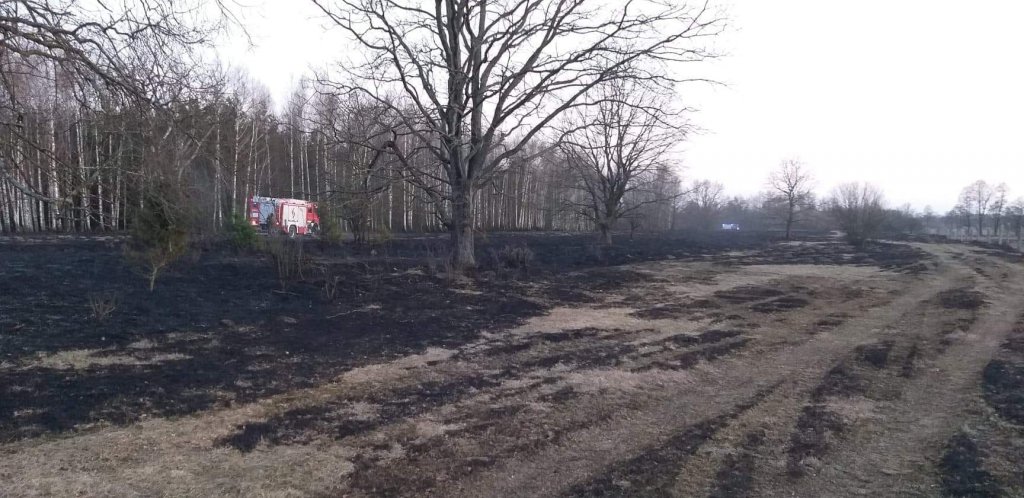 Plaga pożarów traw na nieużytkach [24.03.2022] - zdjęcie #2 - eOstroleka.pl