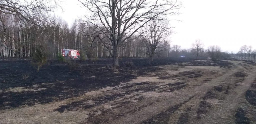 Plaga pożarów traw na nieużytkach [24.03.2022] - zdjęcie #32 - eOstroleka.pl