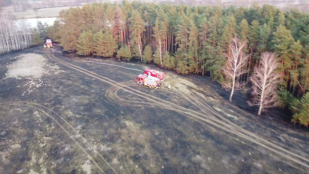 Plaga pożarów traw na nieużytkach [24.03.2022] - zdjęcie #4 - eOstroleka.pl